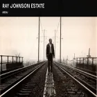 rayjohnsonestate.com