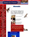 razas-de-perros.com razas-de-perros.com
