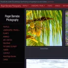 rcbpixels.com rcbpixels.com