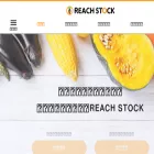 reachstock.jp