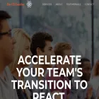 reactjsconsulting.com