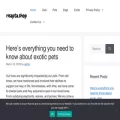 reapta.shop reapta.shop