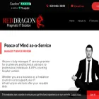 reddragonitsolution.com