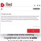 redonlinemarketing.nl redonlinemarketing.nl