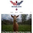 redrebelnews.com redrebelnews.com