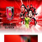 reds-collection.com reds-collection.com