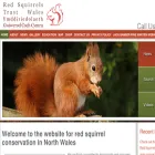 redsquirrels.info
