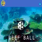 reefballfoundation.org reefballfoundation.org