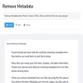 remove-metadata.com