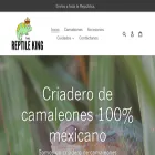 reptilekingmx.com