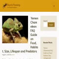 reptiletraining.com