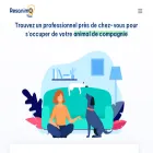resanimo.com resanimo.com
