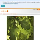 research.swedbank.se research.swedbank.se