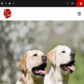 retriever.ch retriever.ch