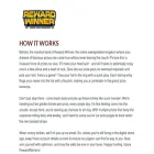 rewardwinnersurveys.com