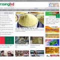 risingbd.com