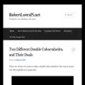 robertlovespi.net robertlovespi.net