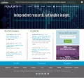 roubini.com roubini.com