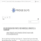 rvfridgeguys.com