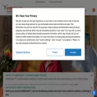 rybrevant.com rybrevant.com