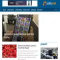 safetynet.asia safetynet.asia