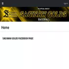 saginawgoldsbaseball.com