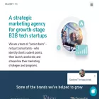 salientmg.com