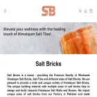 saltbricks.us saltbricks.us