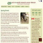 saltmarshranch.com