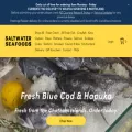 saltwaterseafoods.co.nz