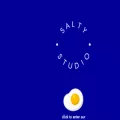 saltystudio.co.uk