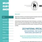 salukiclub.org salukiclub.org