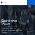 salvosoftware.com salvosoftware.com