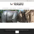 samuraitradingacademy.com samuraitradingacademy.com