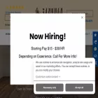 sandmanflooringinc.com