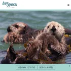 sansimeonchamber.org