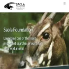 saolafoundation.org saolafoundation.org