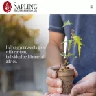 saplingwealth.com saplingwealth.com