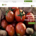 satvyk.com