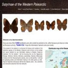 satyrinae.yolasite.com satyrinae.yolasite.com