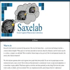 saxelab.mit.edu saxelab.mit.edu