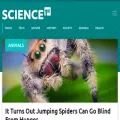 science1st.com