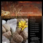 scrapbooklithops.com scrapbooklithops.com