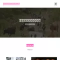 sctoubao.com sctoubao.com