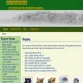 sdlgmall.com sdlgmall.com