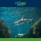 sealand.com.mx sealand.com.mx