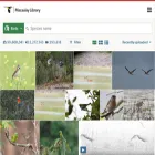 search.macaulaylibrary.org