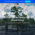 sea-trees.org sea-trees.org