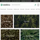 seedsbay.com