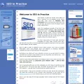 seoinpractice.com seoinpractice.com